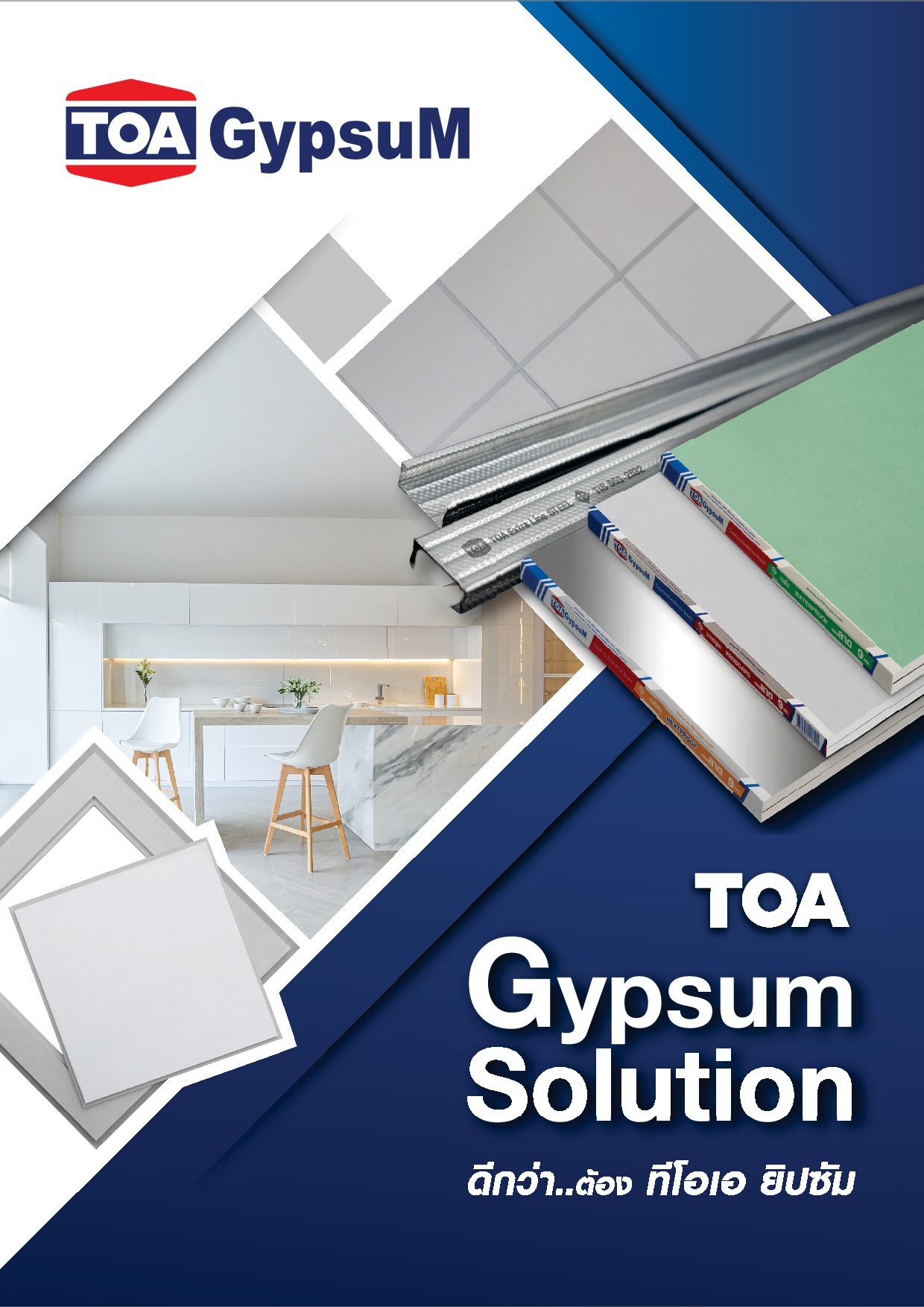 ทีโอเอ ยิปซัม / TOA Gypsum Solution
