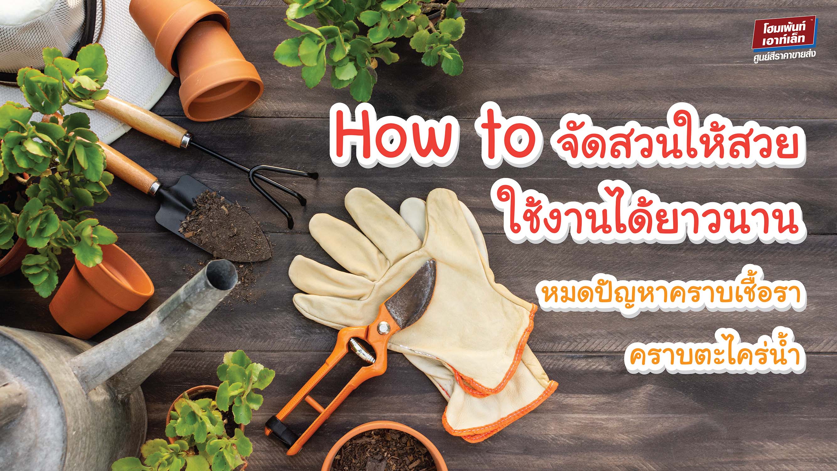 How to จัดสวนให้สวย ใช้งานได้ยาวนาน หมดปัญหาคราบเชื้อรา ตะไคร่น้ำ