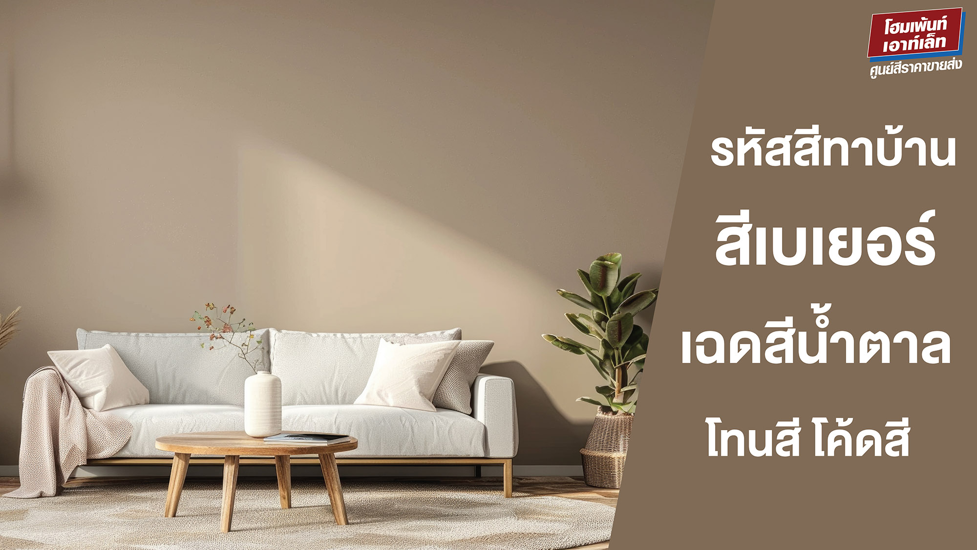 รหัสสีทาบ้านสีเบเยอร์ เฉดสีน้ำตาล โทนสีน้ำตาล โค้ดสีน้ำตาล