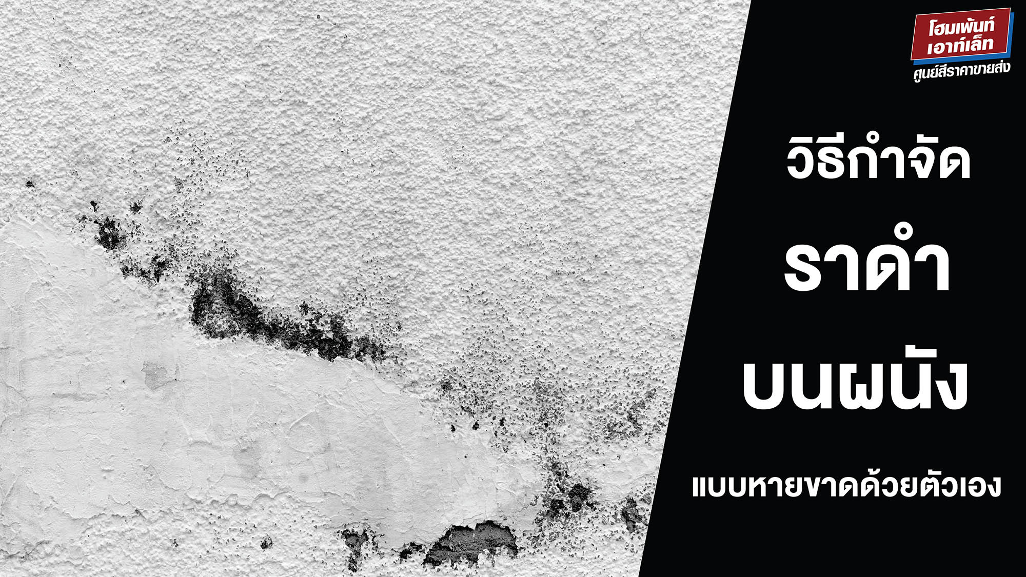  วิธีกำจัดราดำบนผนัง แบบหายขาดด้วยตัวเอง ราดำคืออะไร?