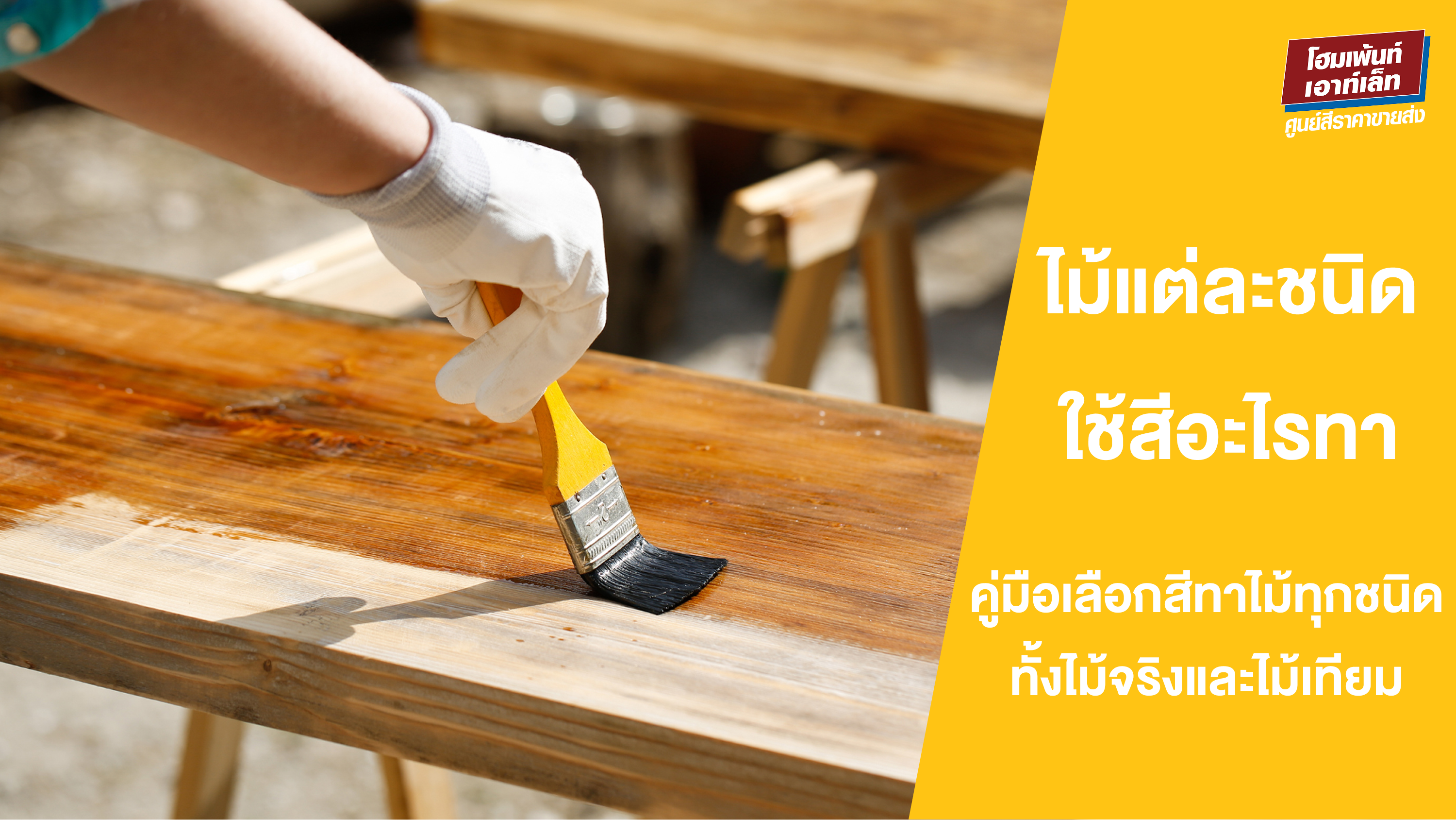 สีทาไม้ใช้สีอะไร? คู่มือเลือกสีทาไม้แต่ละชนิดแบบถูกต้อง