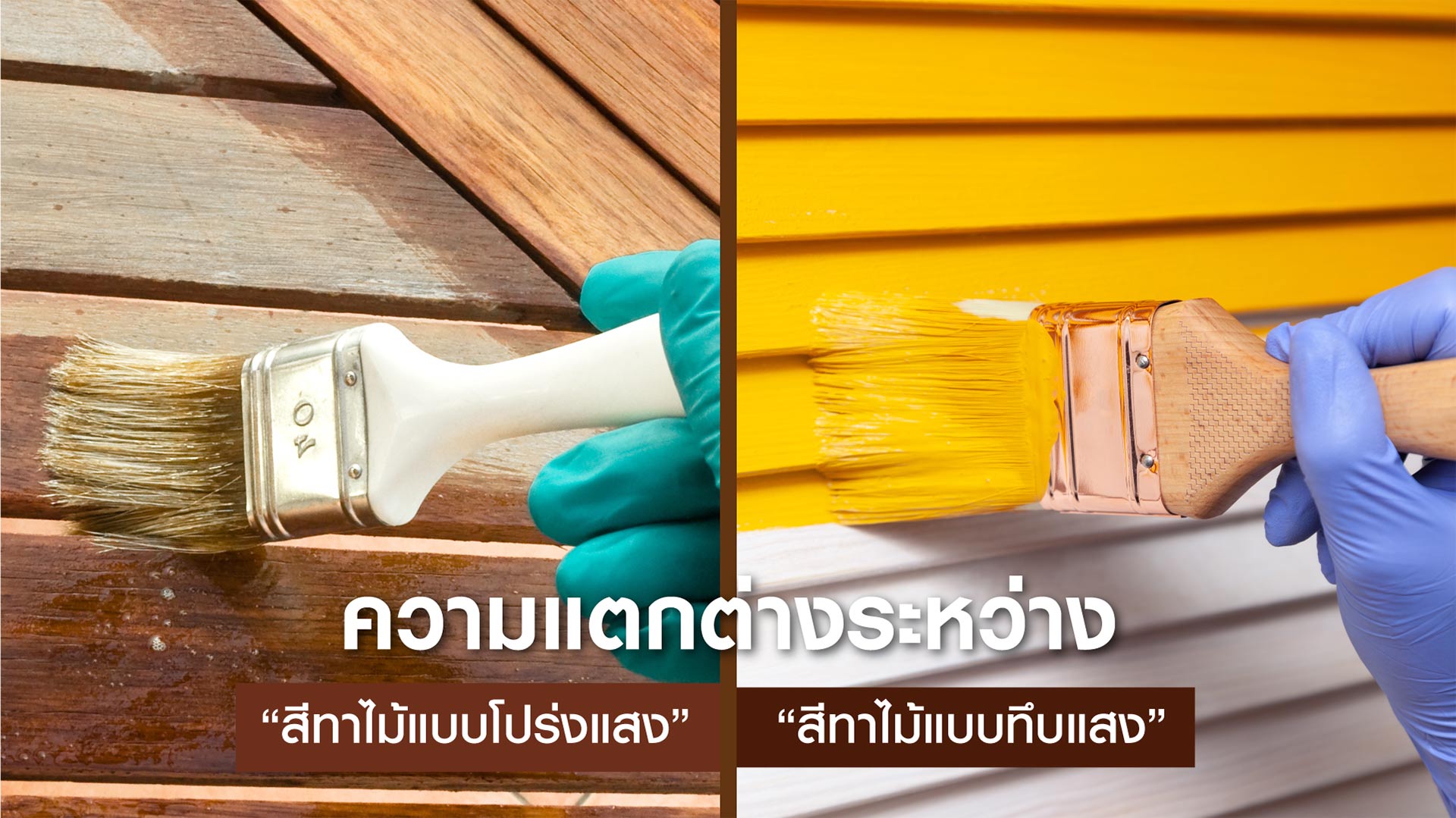 ความแตกต่างของสีทาไม้ สีย้อมไม้ แบบโปร่งแสงและแบบทึบแสง 