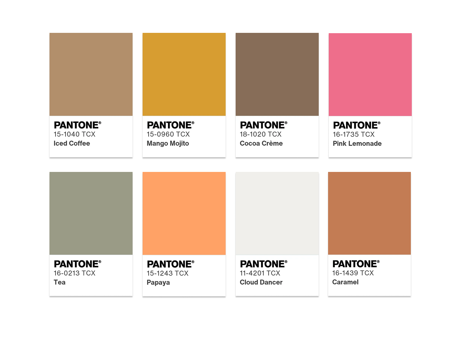 สีประจำปี 2026 Pantone “Cloud Dancer” สีขาวแห่งความสงบและเรียบง่าย 