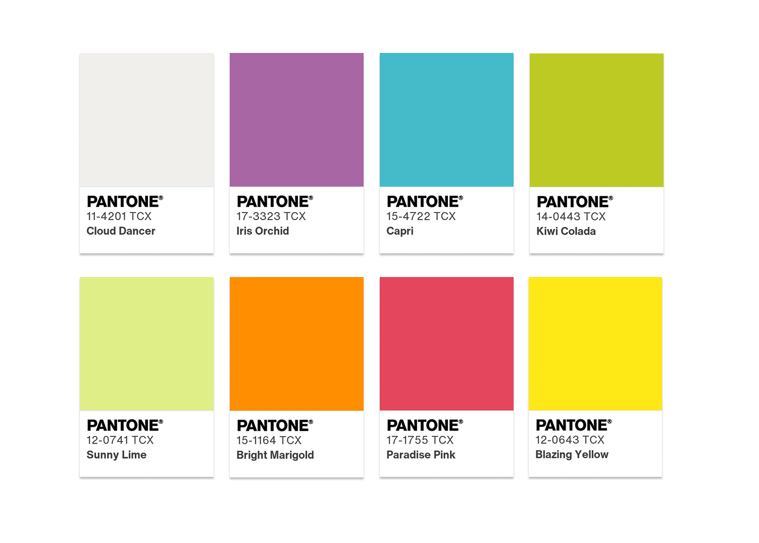 สีประจำปี 2026 Pantone “Cloud Dancer” สีขาวแห่งความสงบและเรียบง่าย 
