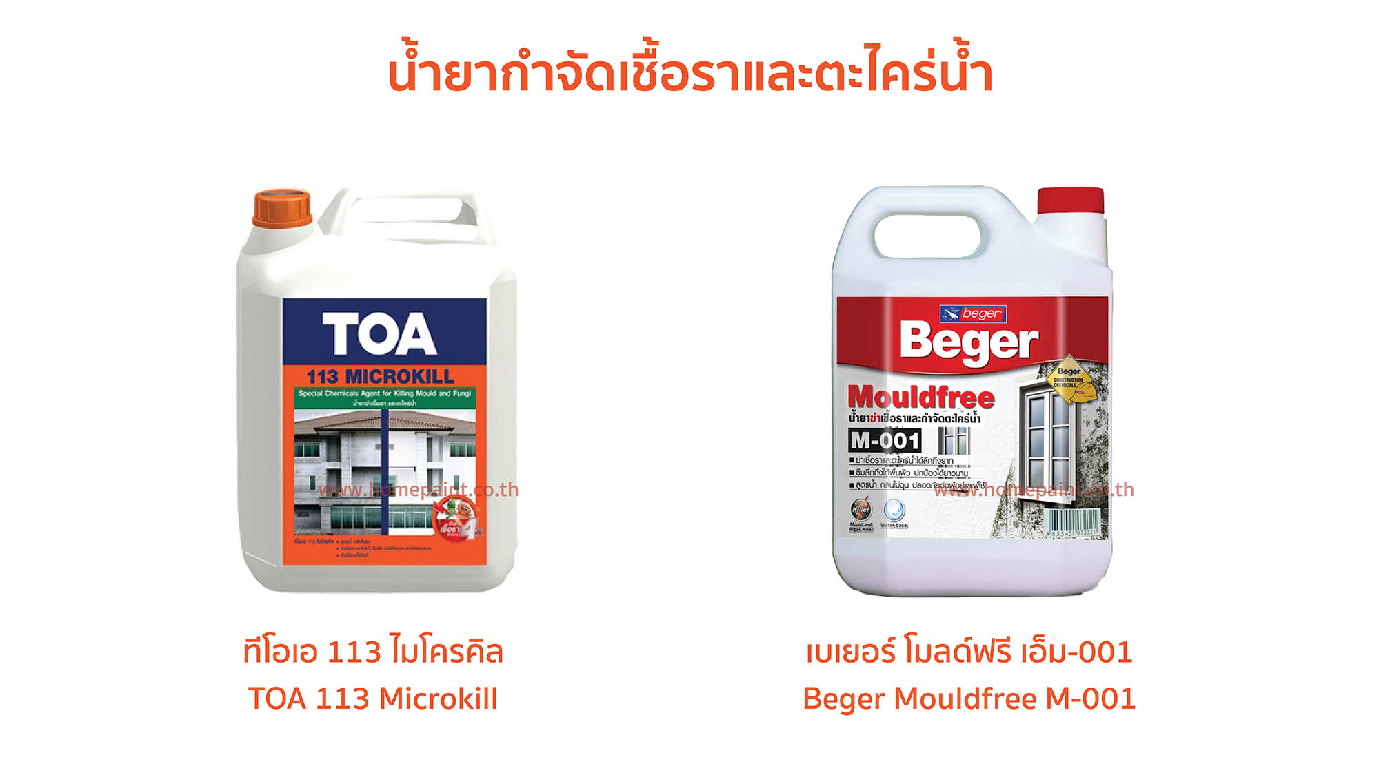  วิธีกำจัดราดำบนผนัง แบบหายขาดด้วยตัวเอง ราดำคืออะไร?