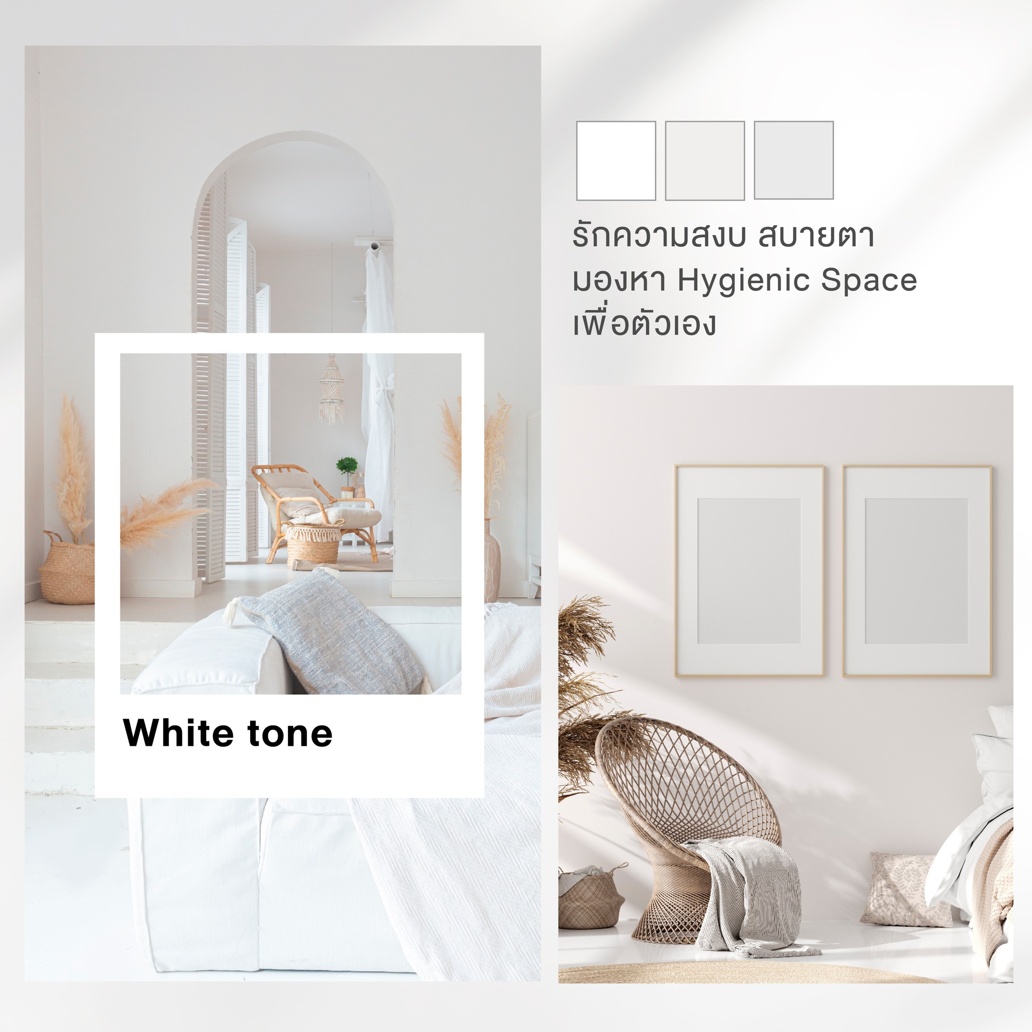ไอเดียสีทาภายใน โทนสียอดนิยม ทีโอเอ ออร์แกนิค แคร์ TOA Organic care
