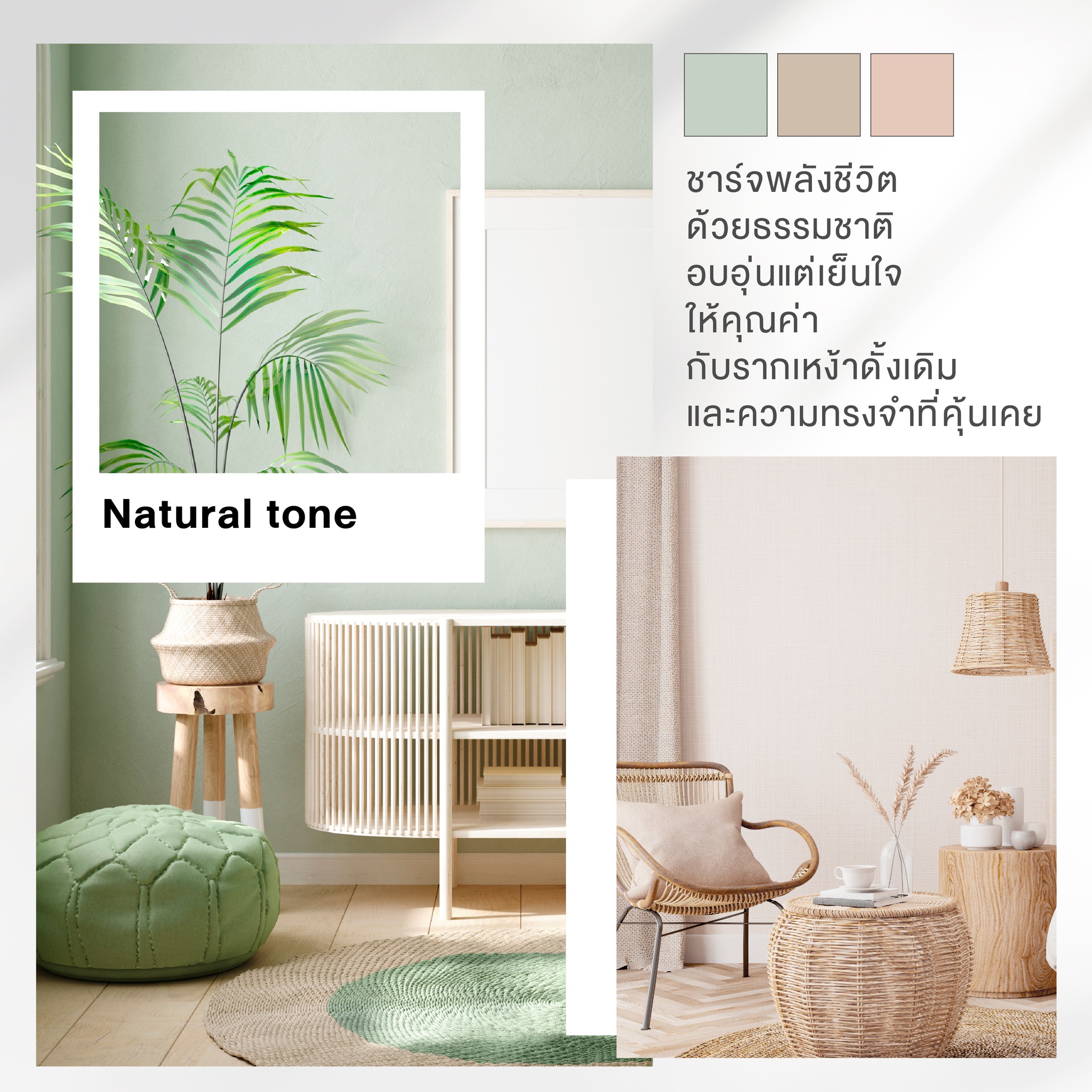 ไอเดียสีทาภายใน โทนสียอดนิยม ทีโอเอ ออร์แกนิค แคร์ TOA Organic care