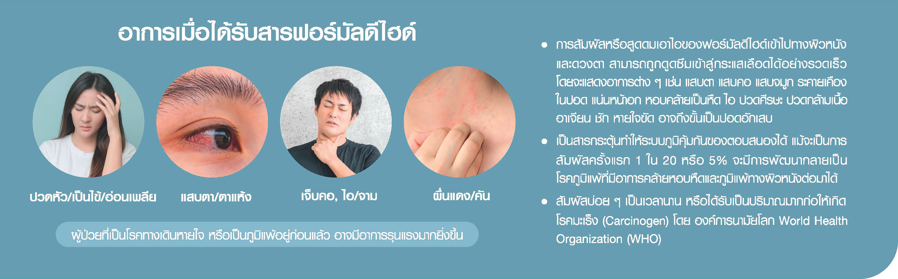 มัดรวมสีทาบ้านกลิ่นอ่อน 2025 สีทาบ้านทีโอเอ สีทาบ้านนิปปอน สีทาบ้านเบเยอร์ สีทาบ้านโจตัน